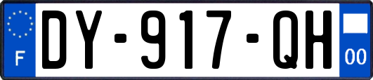 DY-917-QH