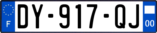 DY-917-QJ