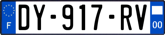 DY-917-RV