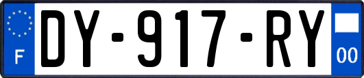 DY-917-RY