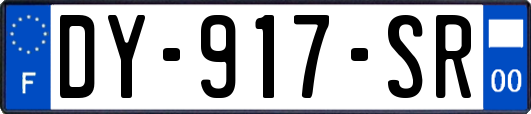 DY-917-SR