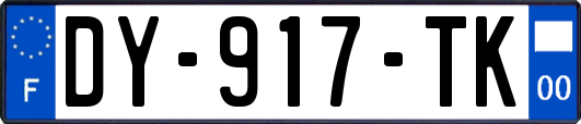 DY-917-TK