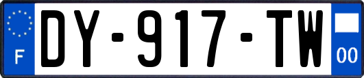 DY-917-TW