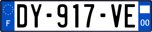 DY-917-VE