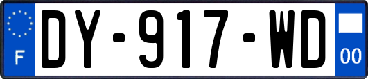 DY-917-WD