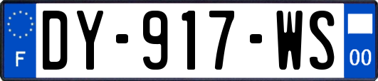 DY-917-WS