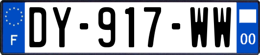 DY-917-WW