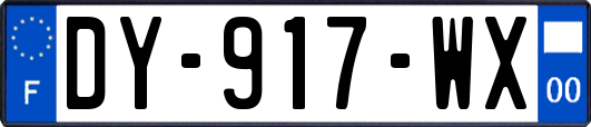 DY-917-WX