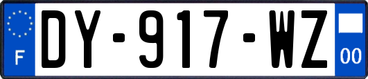 DY-917-WZ