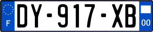 DY-917-XB