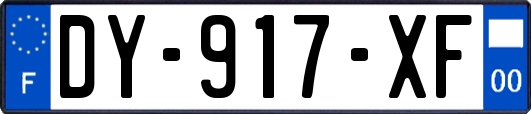 DY-917-XF