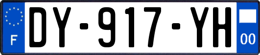 DY-917-YH