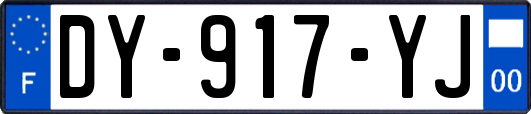 DY-917-YJ