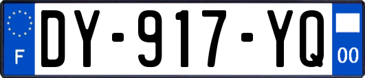 DY-917-YQ