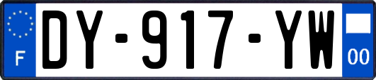 DY-917-YW