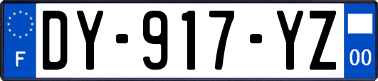 DY-917-YZ