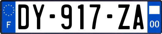 DY-917-ZA