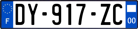 DY-917-ZC