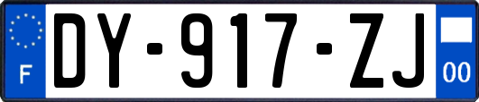 DY-917-ZJ