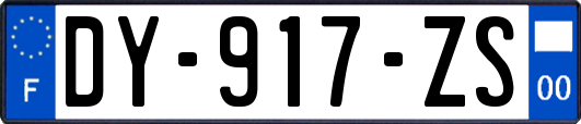 DY-917-ZS