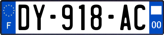 DY-918-AC