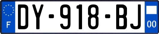 DY-918-BJ