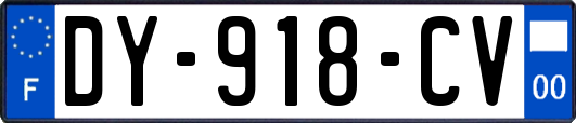 DY-918-CV