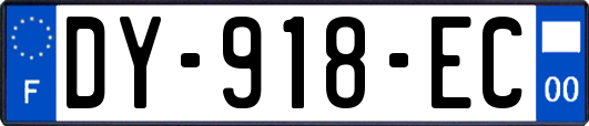 DY-918-EC
