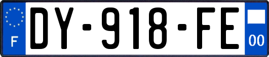 DY-918-FE