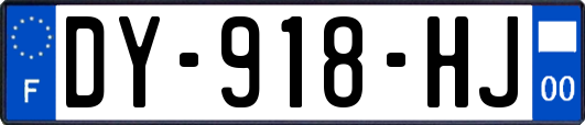 DY-918-HJ