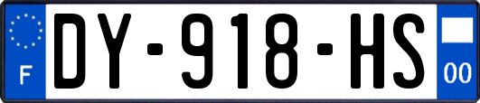 DY-918-HS