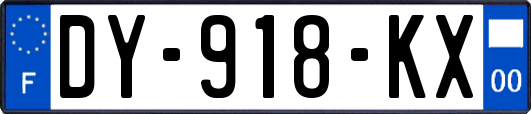 DY-918-KX