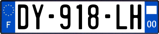 DY-918-LH
