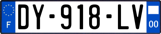 DY-918-LV