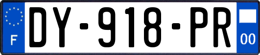 DY-918-PR