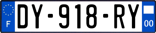 DY-918-RY