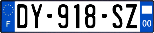 DY-918-SZ