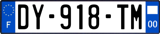 DY-918-TM