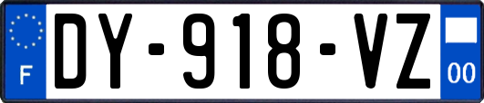 DY-918-VZ