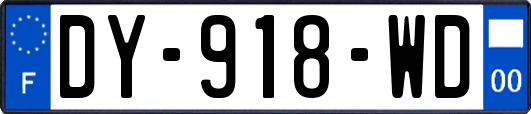 DY-918-WD