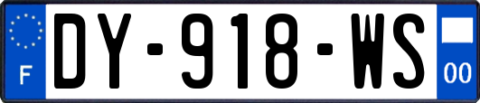 DY-918-WS