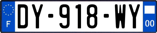 DY-918-WY