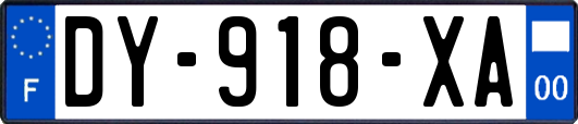 DY-918-XA