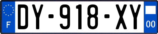 DY-918-XY