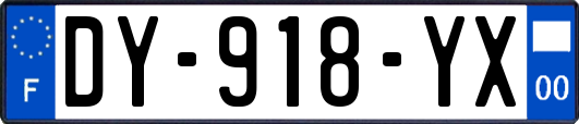 DY-918-YX