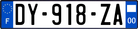 DY-918-ZA