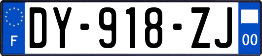 DY-918-ZJ