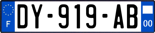 DY-919-AB