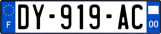 DY-919-AC