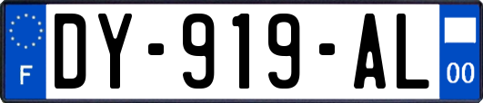 DY-919-AL